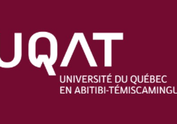 Establishing a Data Infrastructure for the Study of Care and Medication Use Trajectories Among Former Military Persons Living with Pain